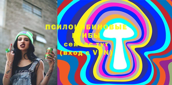 ECSTASY Абинск