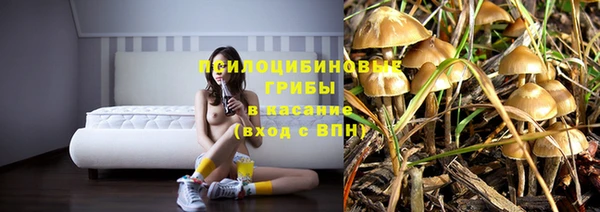 ECSTASY Абинск